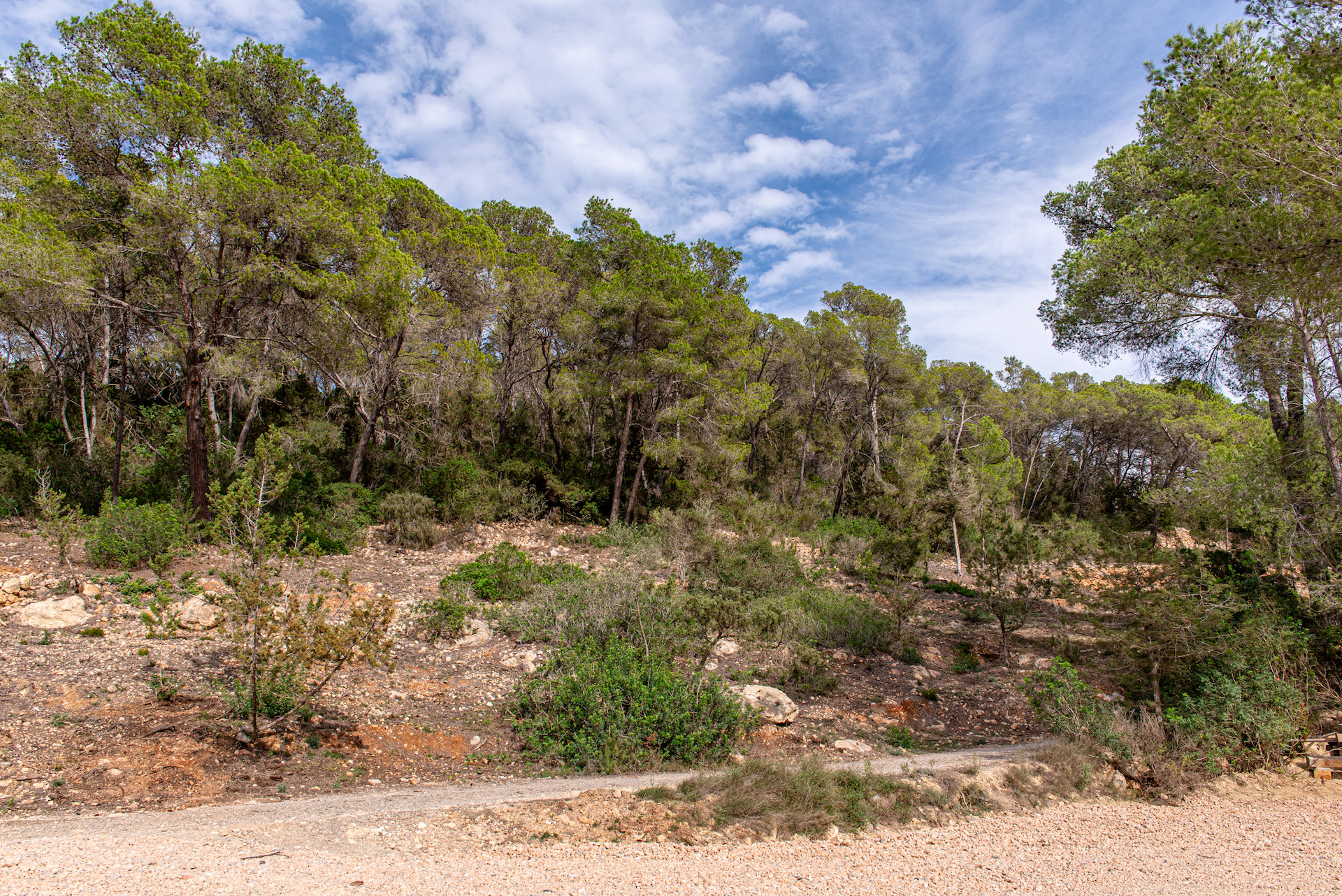 Resa estates Geraldine te koop finca noorden north ibiza sale bathroom mountain views.jpg